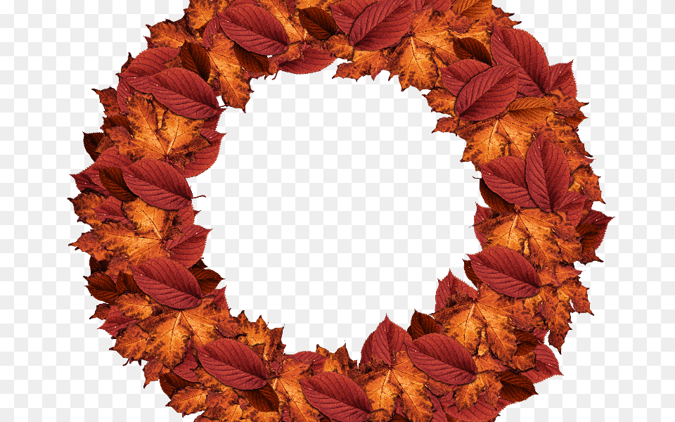 Autumn Leaves Fall Wreath, Leaf, Plant, Photography Free Png Download