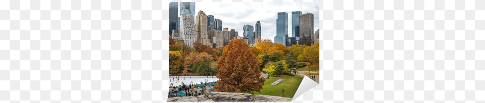 Autumn Leaves Foliage In New York City Central Park New York City, Urban, Scenery, Plant, Outdoors Free Png Download