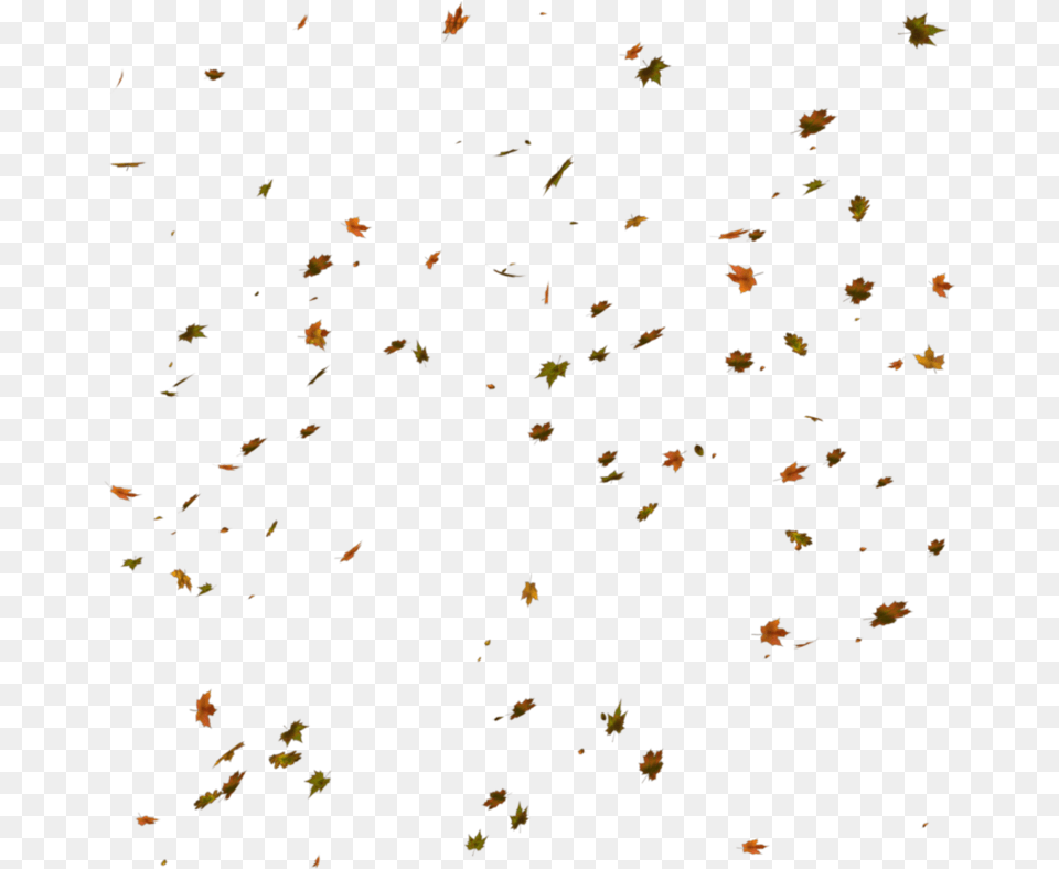 Autumn Leaves For Photoshop, Paper, Confetti, Plant Png Image