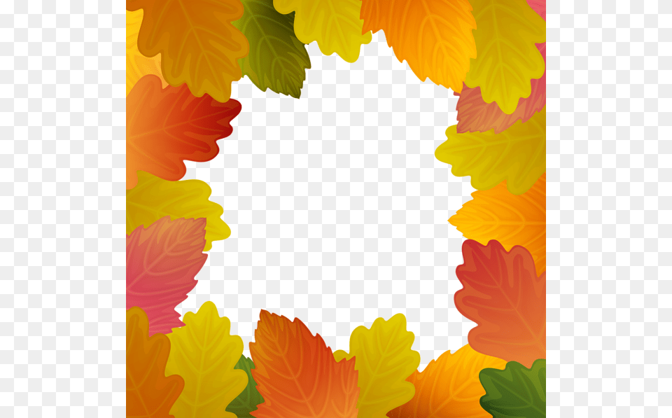 Autumn Leaves Frame Border Clip Art Gallery, Leaf, Plant, Pattern, Graphics Free Transparent Png