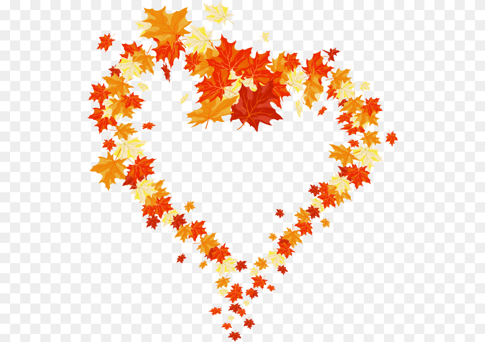 Autumn Leaves Heart, Leaf, Plant, Tree, Maple Free Transparent Png