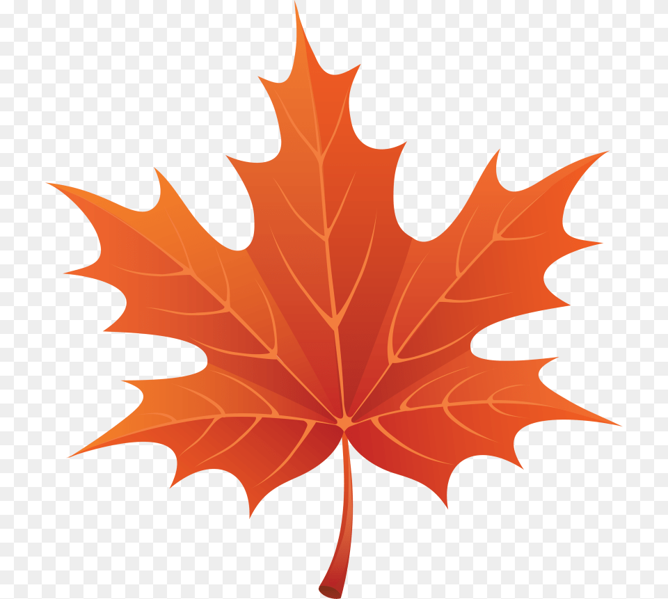 Autumn Leaves Images Yellow Leaves Cartoon Fall Leaf, Plant, Tree, Maple Leaf, Maple Free Png