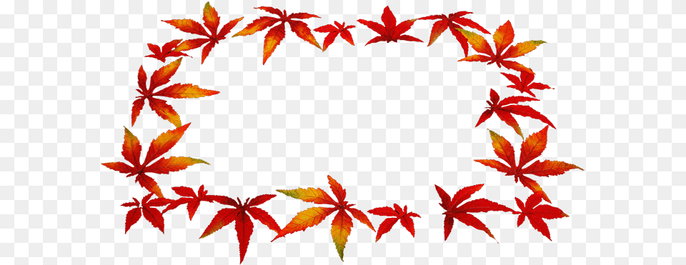 Autumn Leaves Konfest, Leaf, Plant, Tree, Maple Free Transparent Png