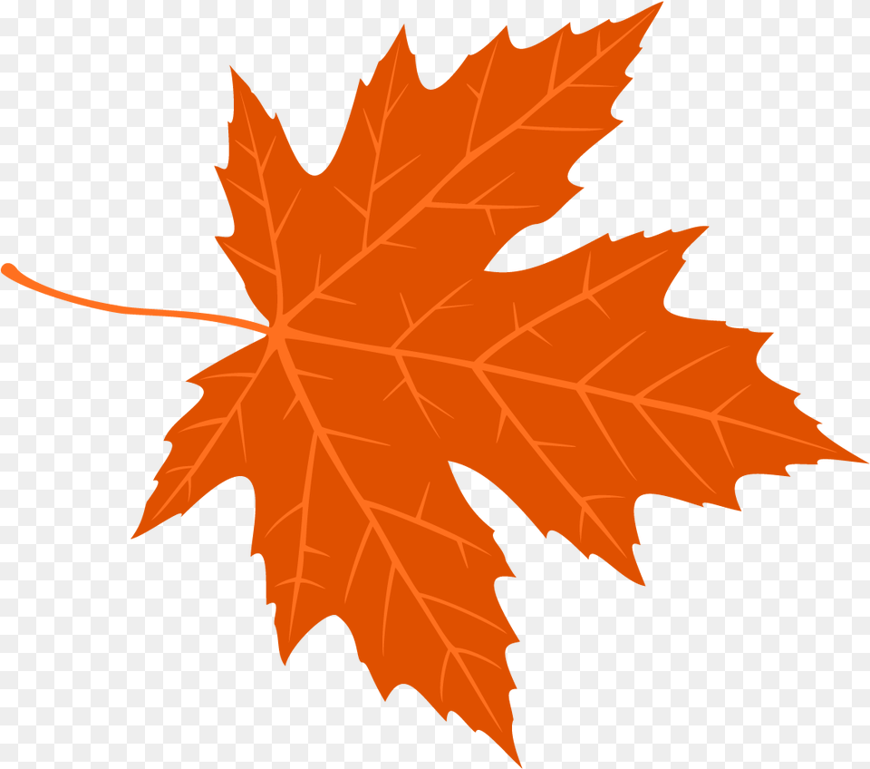 Autumn Leaves Konfest, Leaf, Plant, Tree, Maple Leaf Free Transparent Png