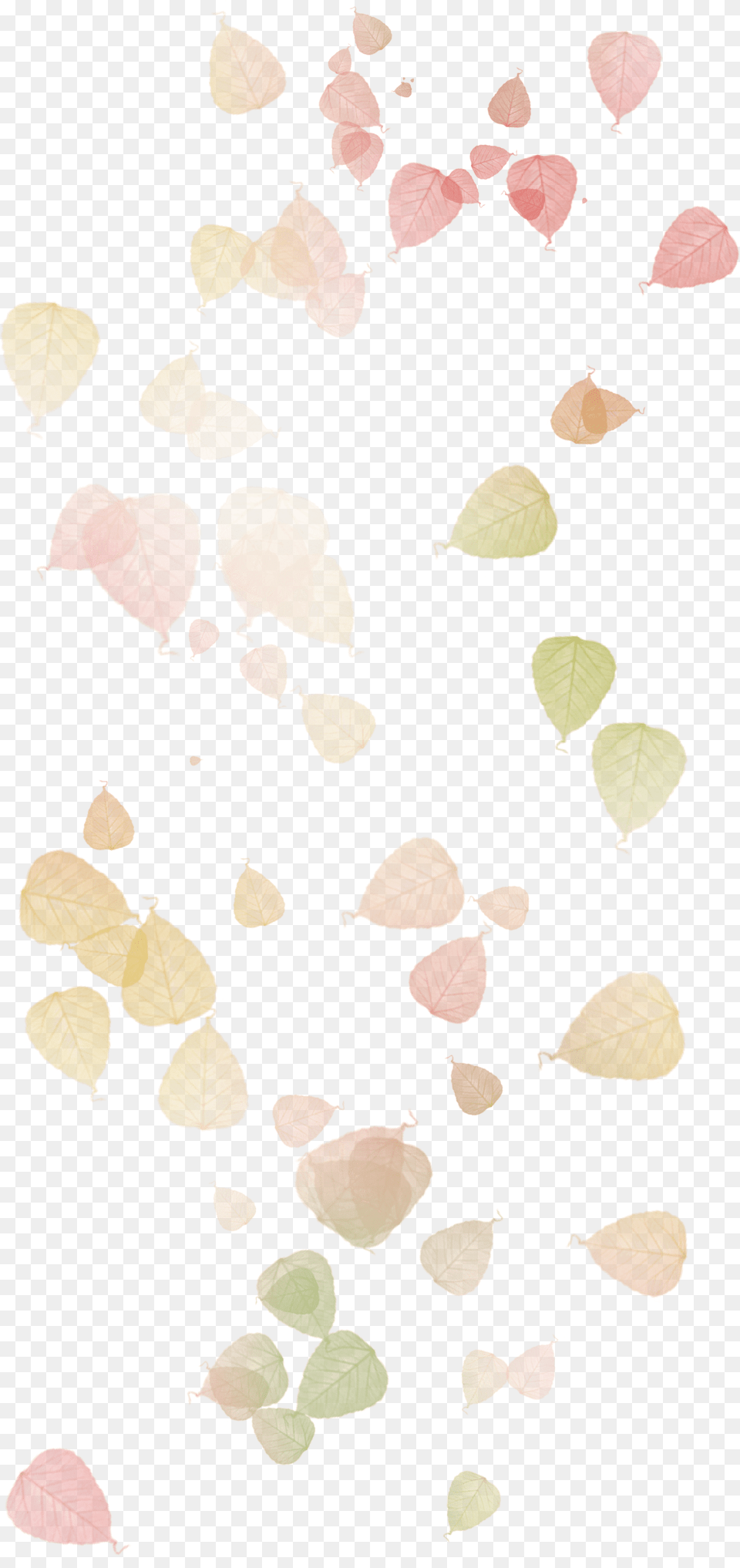 Autumn Leaves Leaf Watercolor Painting Watercolor Leaves Watercolor Painting, Flower, Petal, Plant, Paper Png