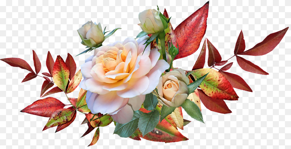 Autumn Leaves Roses Flowers Garden Nature Cut Autumn Leaves And Flower, Flower Arrangement, Flower Bouquet, Plant, Rose Free Png Download