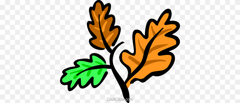 Autumn Leaves Royalty Vector Clip Art Illustration, Leaf, Plant, Tree, Oak Free Transparent Png