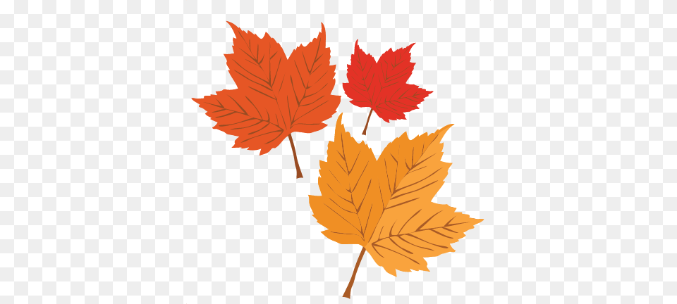 Autumn Leaves Scrapbook Cute Clipart, Leaf, Plant, Tree, Maple Leaf Png