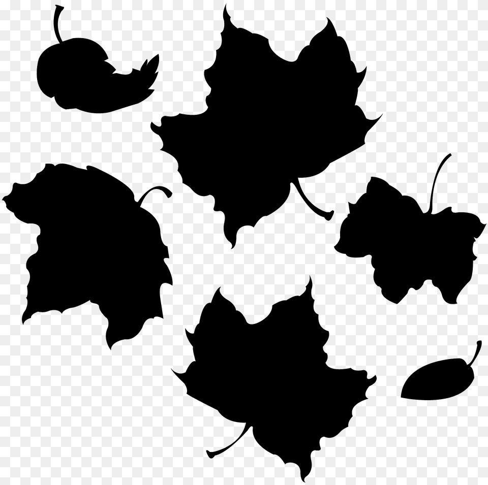 Autumn Leaves Silhouette, Leaf, Plant, Animal, Cat Free Png