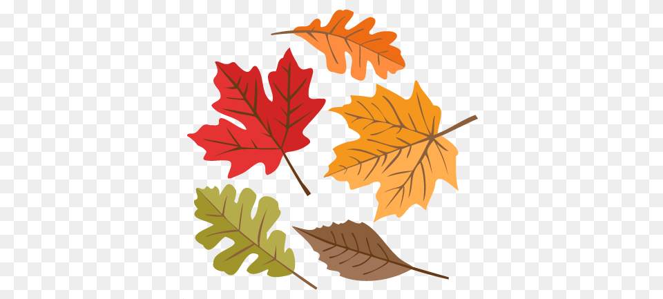 Autumn Leaves Svg Cuts Scrapbook Cut File Cute Clipart Files Autumn, Leaf, Plant, Tree, Maple Leaf Png Image