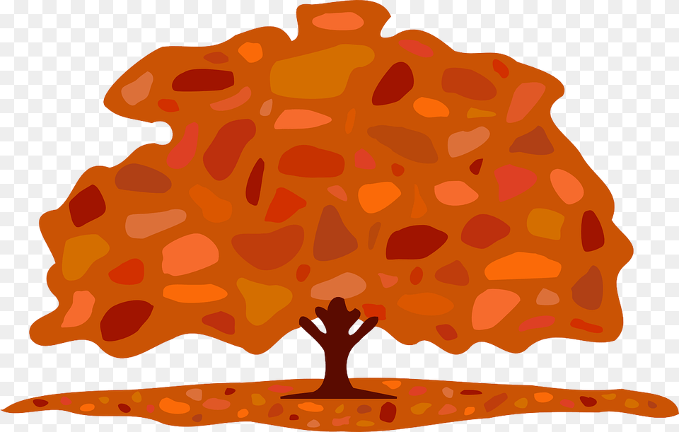 Autumn Leaves Cartoon, Plant, Tree, Oak, Sycamore Free Transparent Png