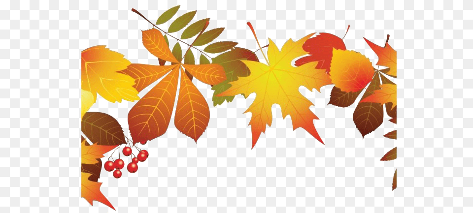 Autumn Leaves Fall Leaves Clip Art Background, Leaf, Plant, Tree, Maple Leaf Free Transparent Png