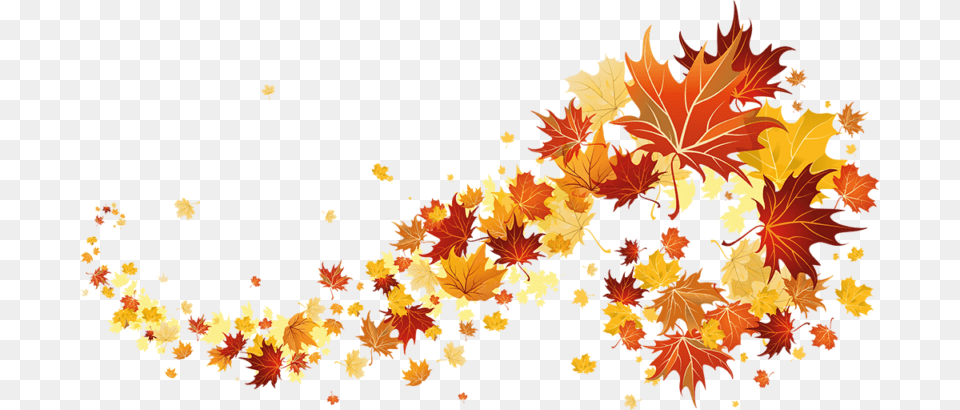 Autumn Leaves Autumn Leaves, Leaf, Plant, Tree, Maple Free Transparent Png