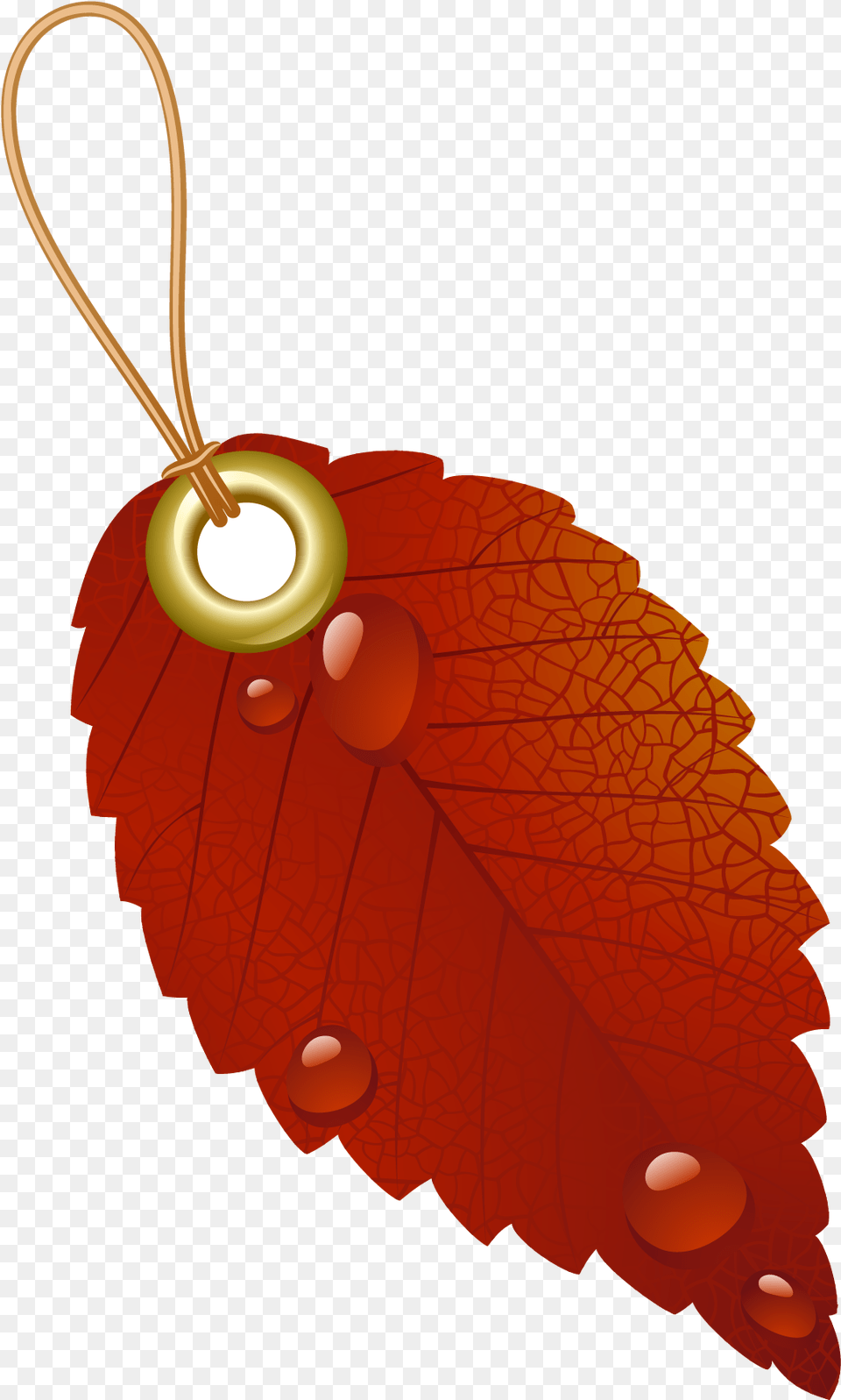Autumn Leaves Vector, Accessories, Leaf, Plant Free Png