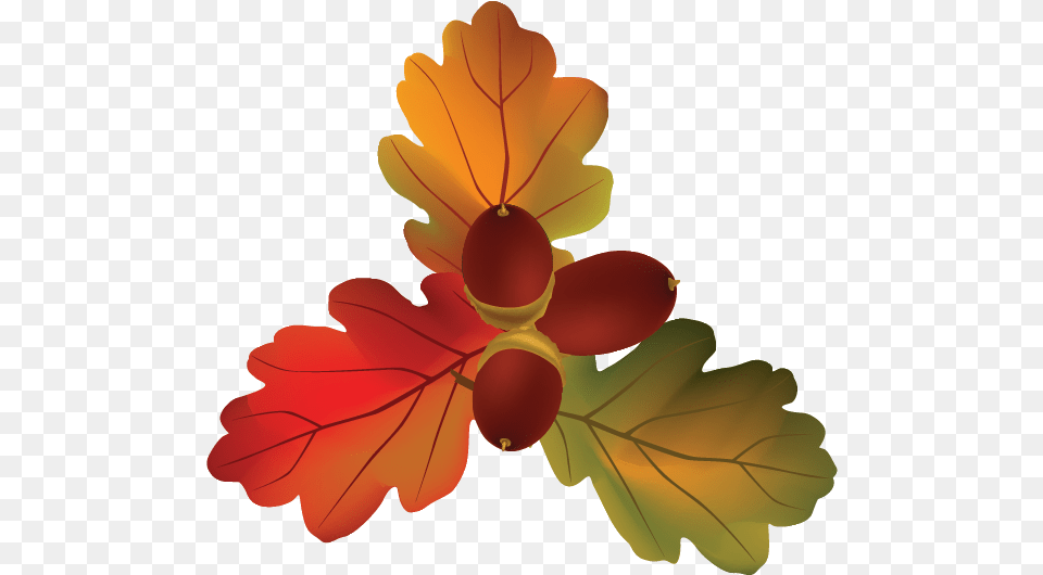 Autumn Leaves With Fruits Vector, Leaf, Plant, Vegetable, Food Free Png