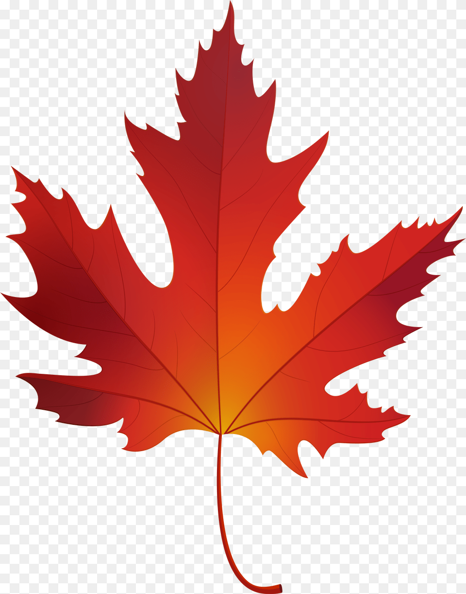 Autumn Maple Leaf Clip Art, Plant, Tree, Maple Leaf, Person Free Png Download