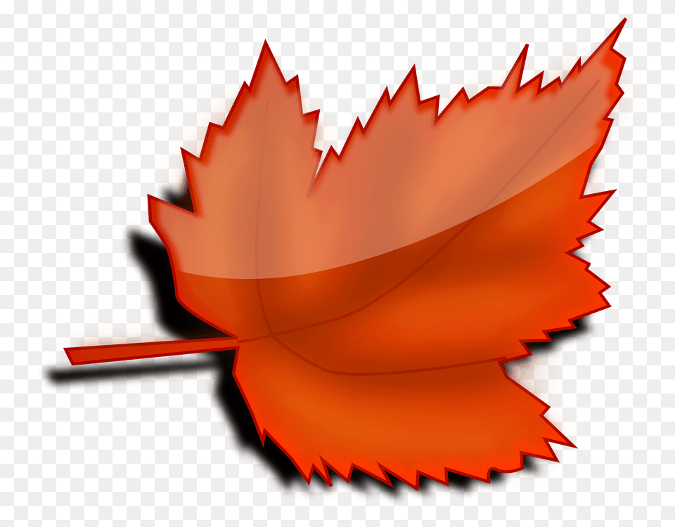 Autumn Maple Leaf Clipart, Plant, Tree, Dynamite, Weapon Png