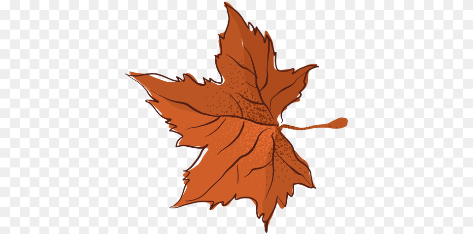 Autumn Maple Leaf Type Hand Drawn Transparent U0026 Svg Lovely, Plant, Tree, Maple Leaf, Adult Png