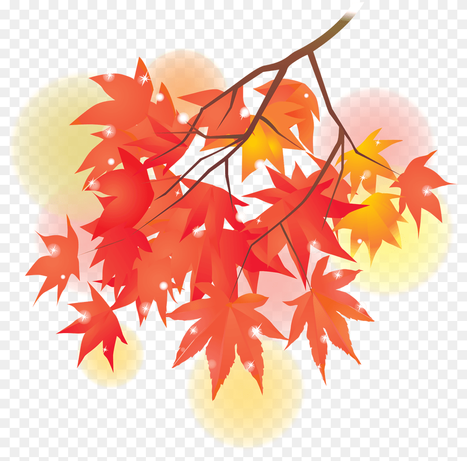 Autumn Maple Leaves Clipart, Leaf, Plant, Tree Png