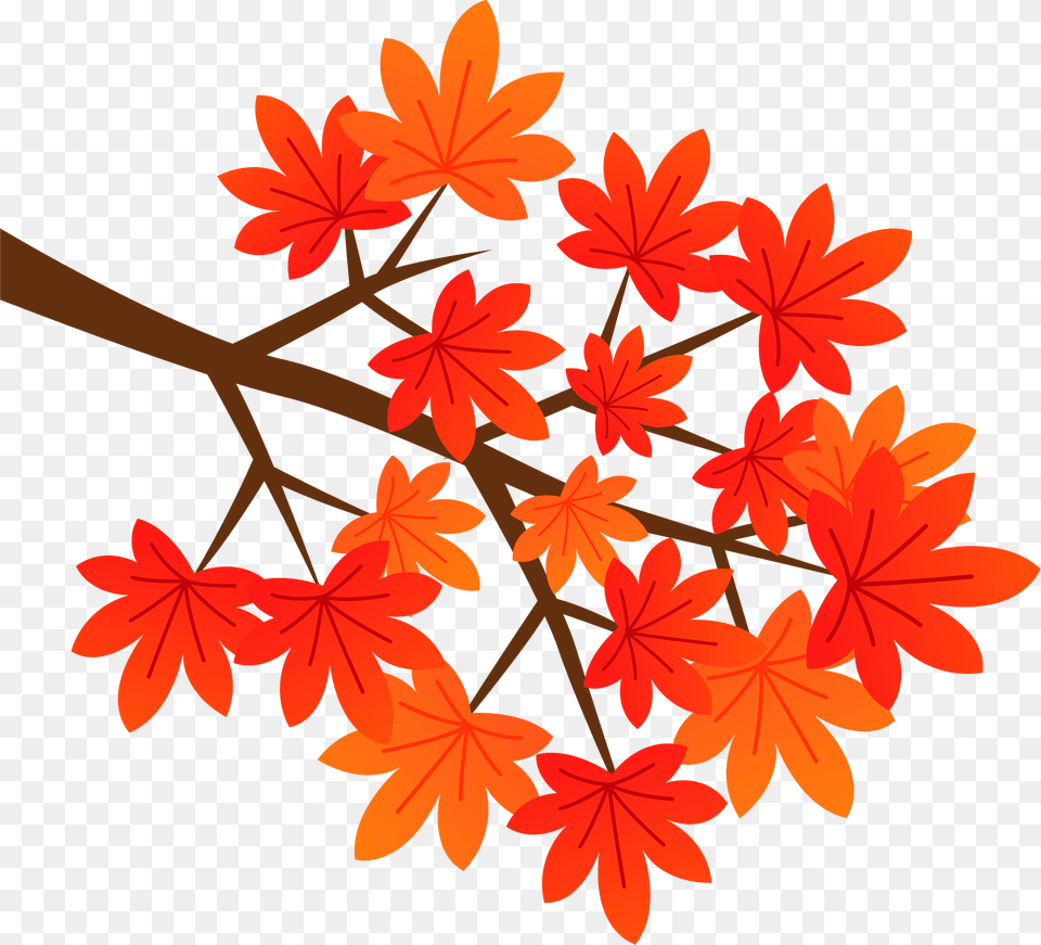 Autumn Maple Leaves Clipart, Leaf, Plant, Tree Free Png Download