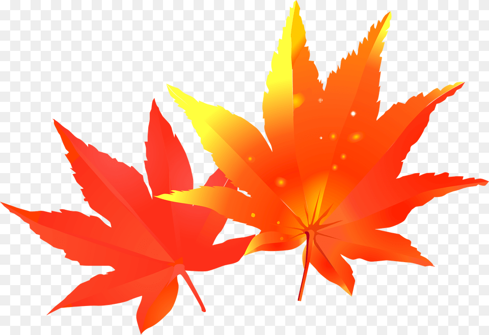 Autumn Maple Leaves Clipart, Leaf, Plant, Tree, Animal Free Transparent Png