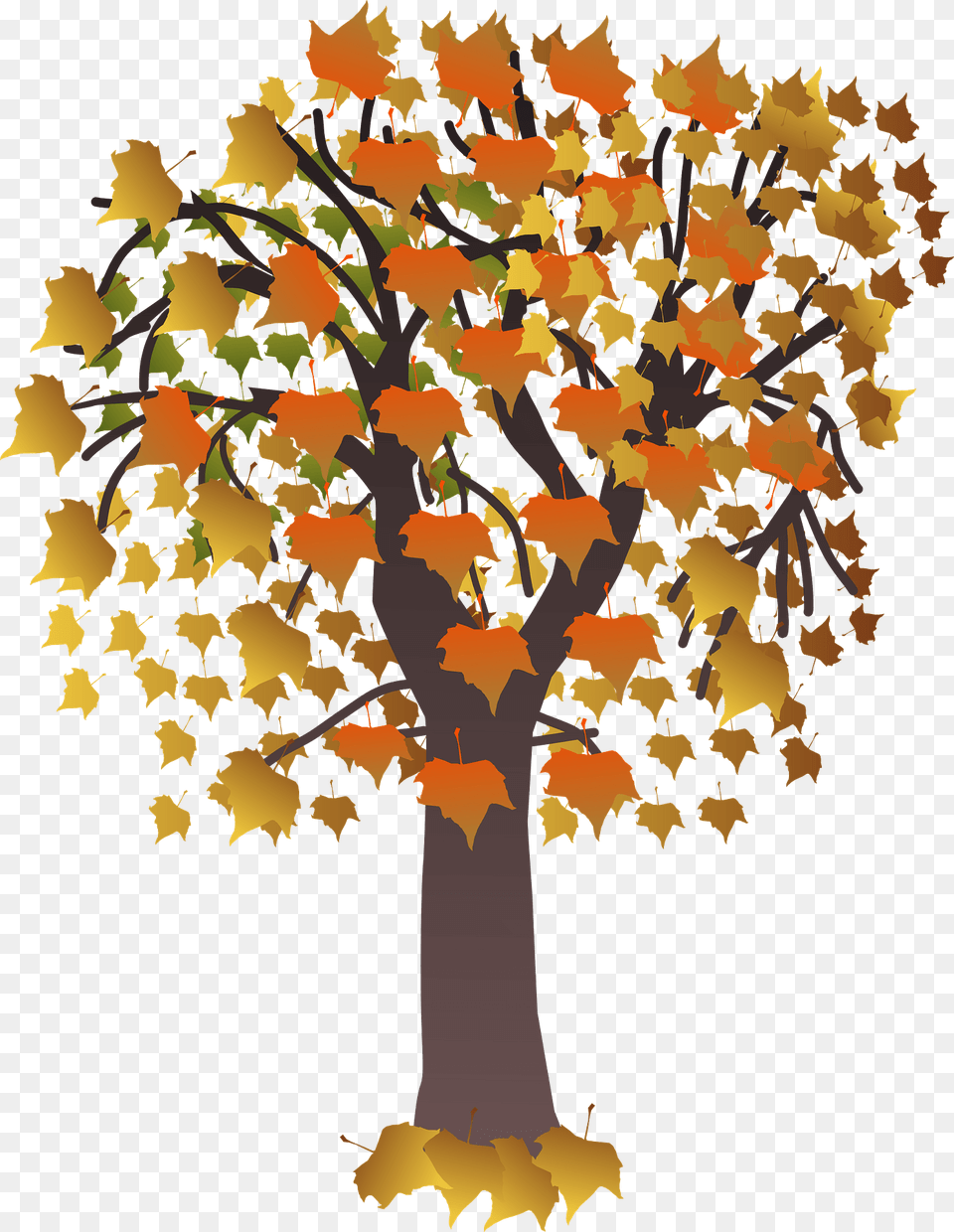 Autumn Maple Tree Clipart, Leaf, Plant, Oak, Sycamore Png Image