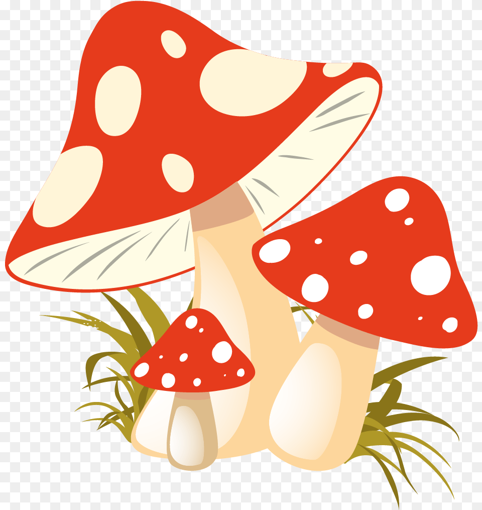 Autumn Mushroom Clipart, Fungus, Plant, Agaric, Amanita Free Transparent Png