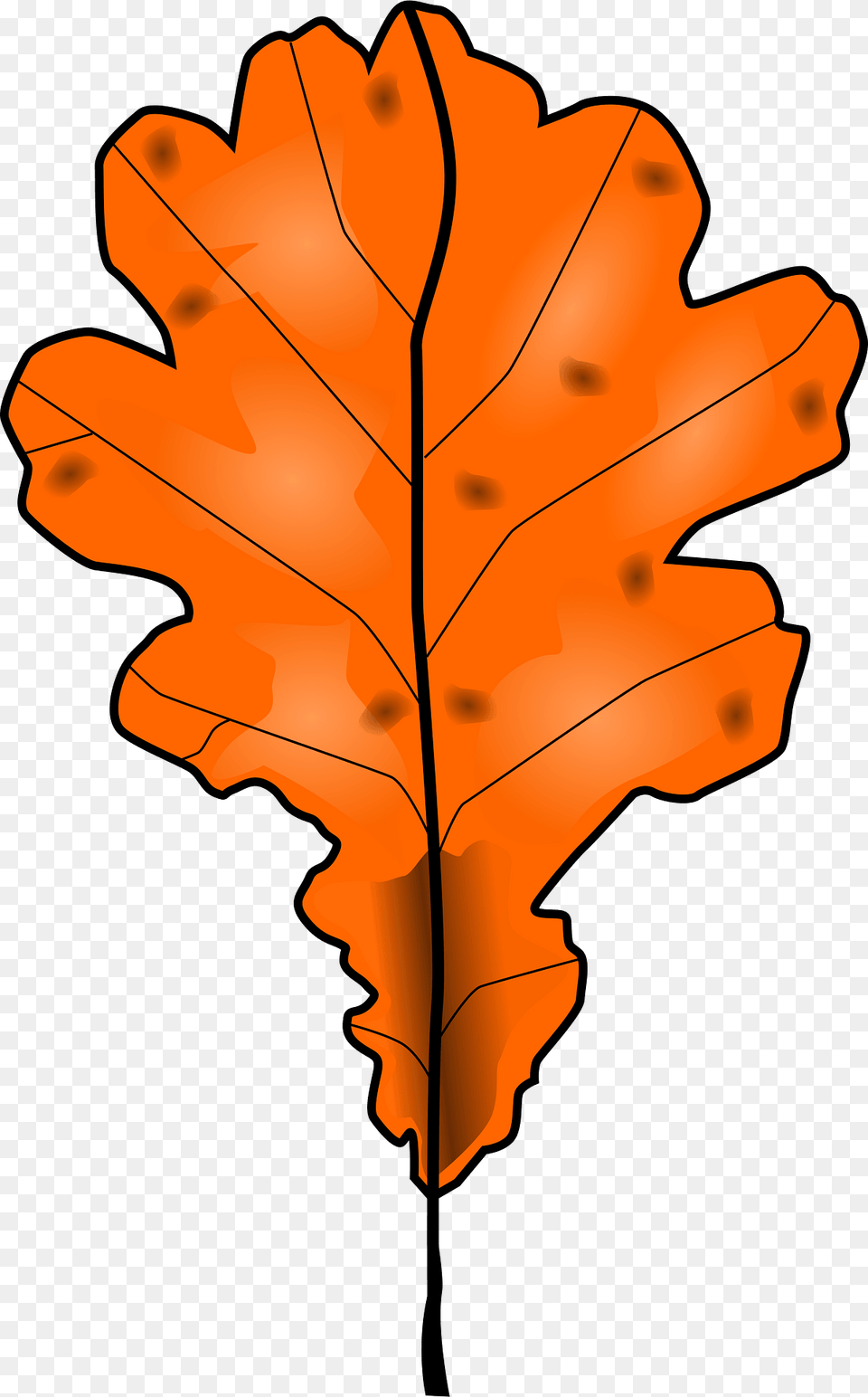Autumn Oak Leaves Clipart, Leaf, Plant, Tree, Maple Leaf Free Png Download