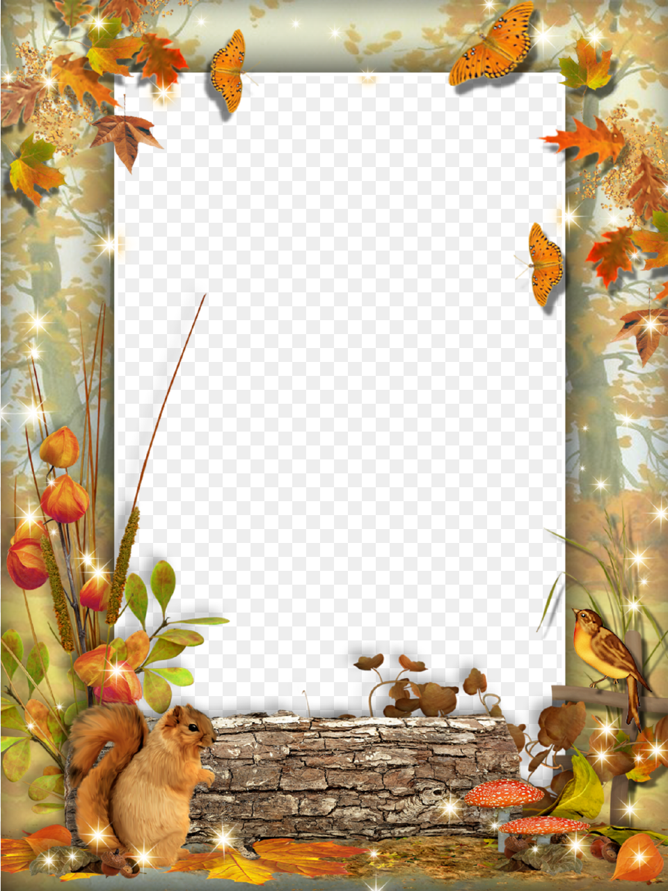 Autumn Photos Art Background Background Patterns Fall Frame, Leaf, Plant, Animal, Bird Png Image