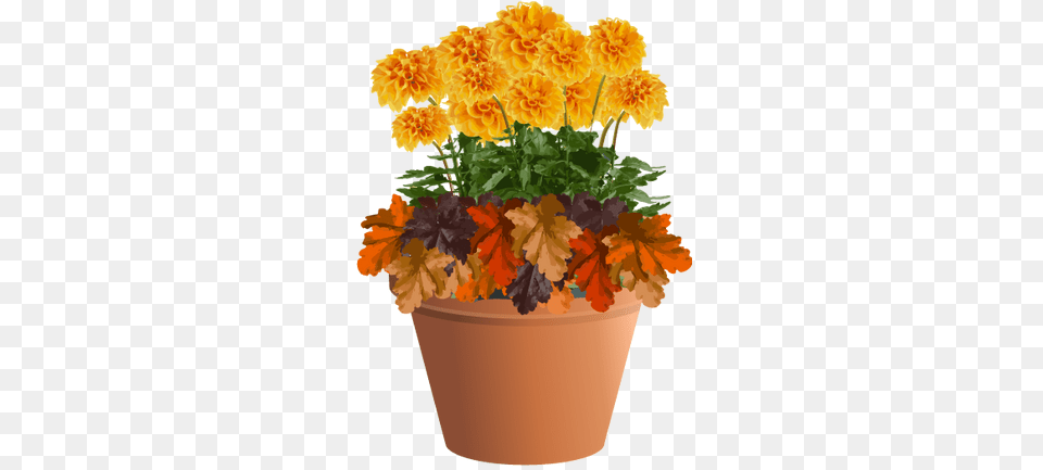 Autumn Planting Idea Marigold In A Planter Flower, Geranium, Potted Plant, Plant Free Transparent Png