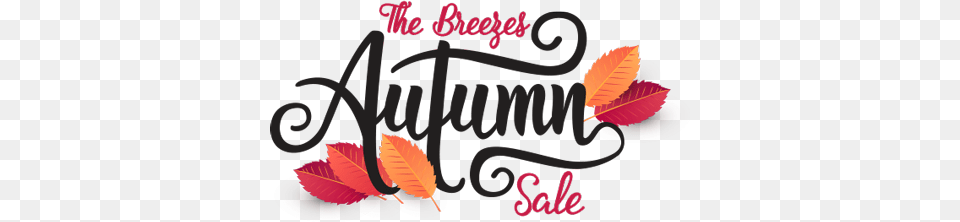 Autumn Sale, Leaf, Plant, Text Png Image