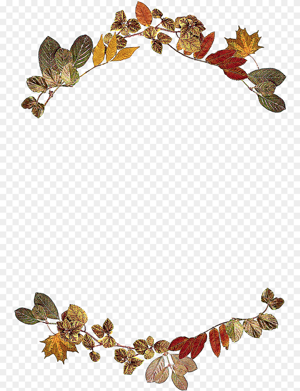 Autumn Scroll Cliparts 18 Buy Clip Art Leaf Border Design, Accessories, Jewelry, Plant Free Png Download