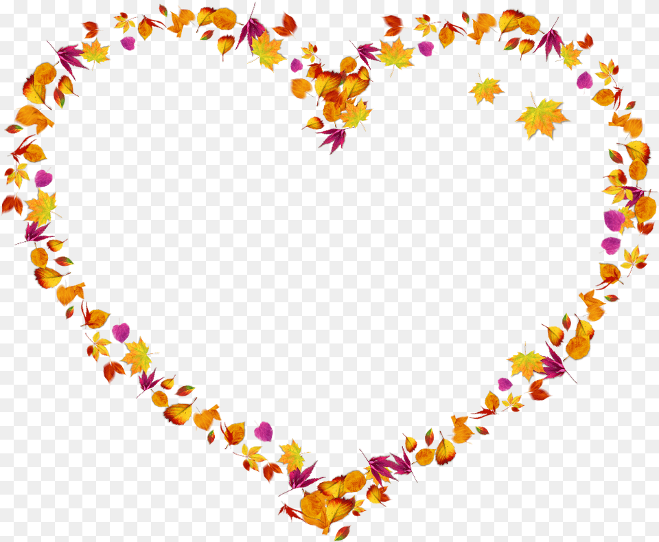 Autumn Septemberheart Frame Pictureframe Helloseptember Floral Design, Plant, Accessories, Flower, Flower Arrangement Png