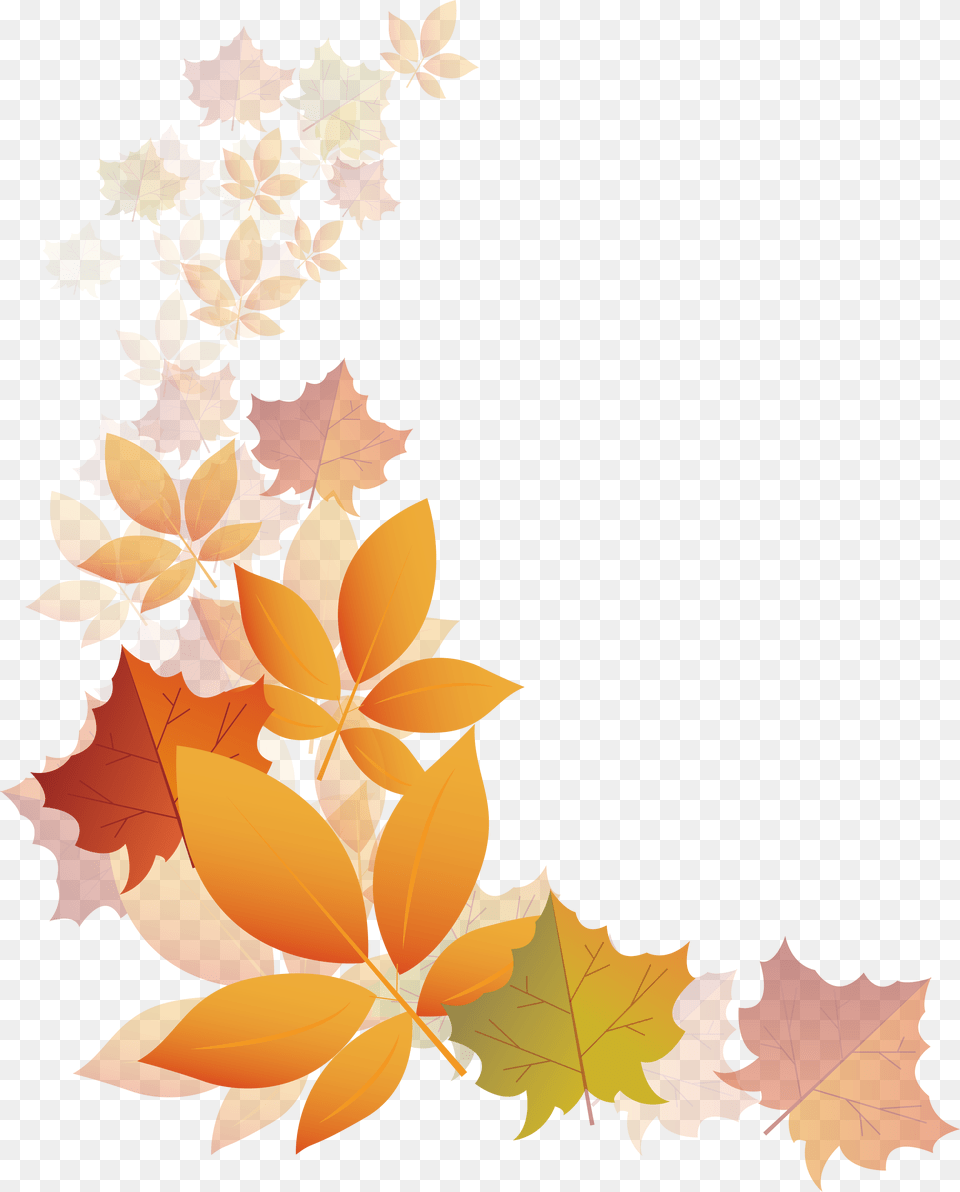 Autumn Transparency And Translucency Autumn Leaves Transparent Background, Leaf, Plant, Tree, Maple Free Png Download