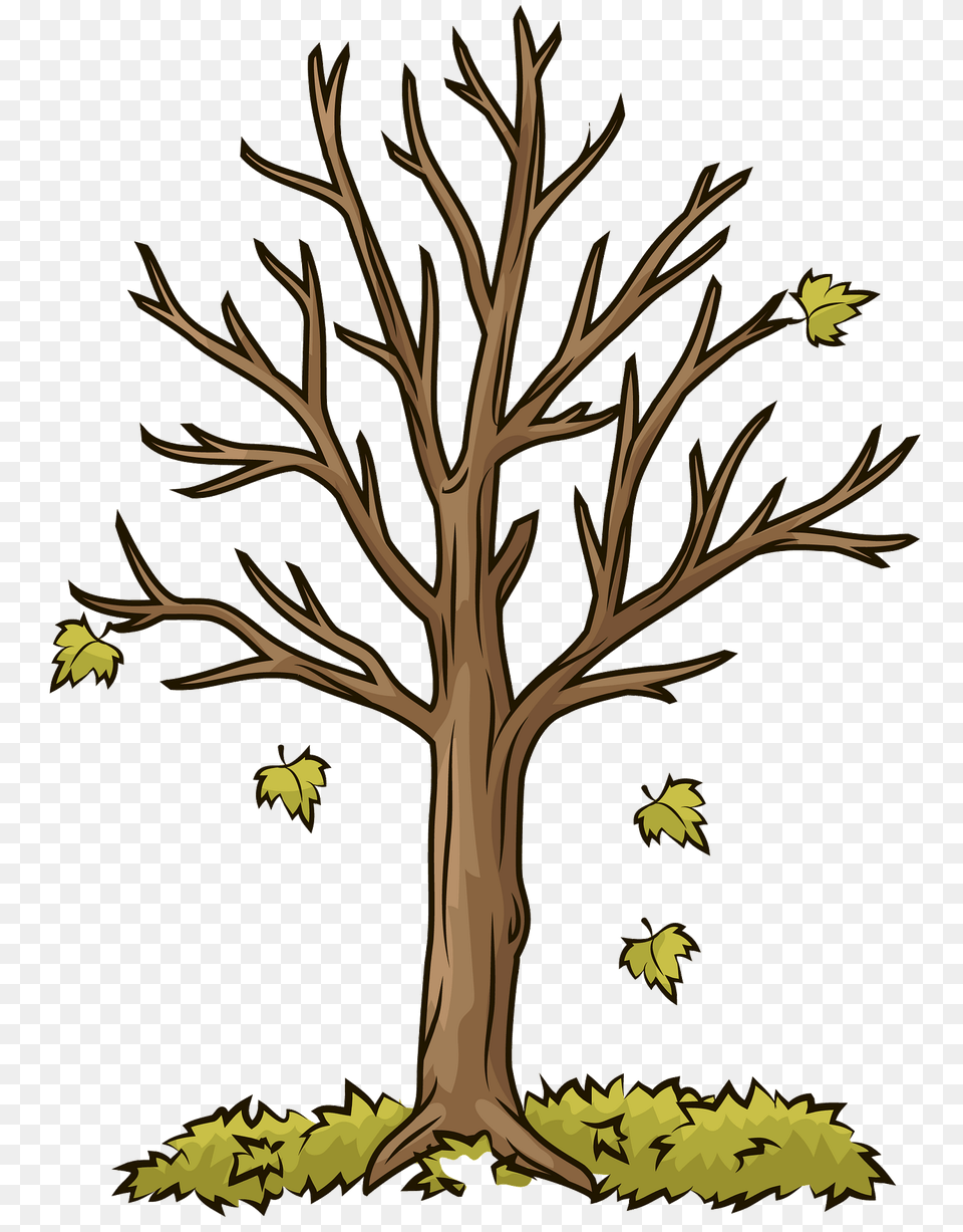 Autumn Tree Clipart, Plant, Tree Trunk, Art Png