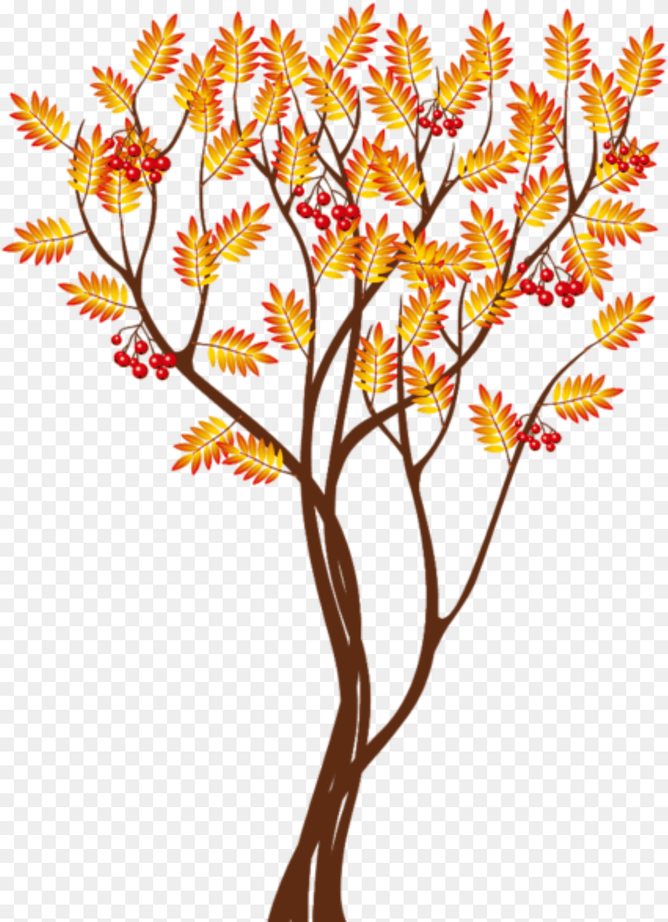 Autumn Tree Clipart Autumn Tree Clipart, Leaf, Plant, Art, Graphics Png