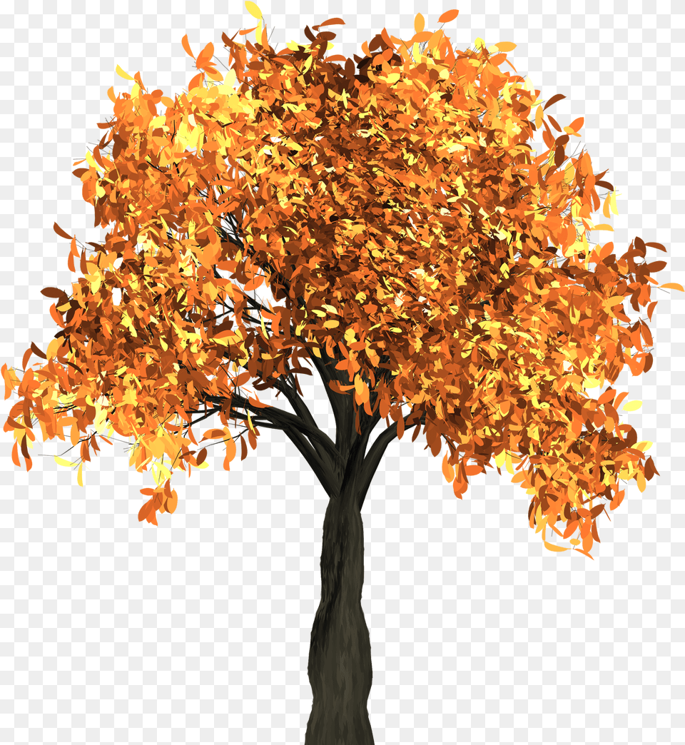 Autumn Tree Image Fall Tree With Background, Leaf, Maple, Plant, Chandelier Free Transparent Png