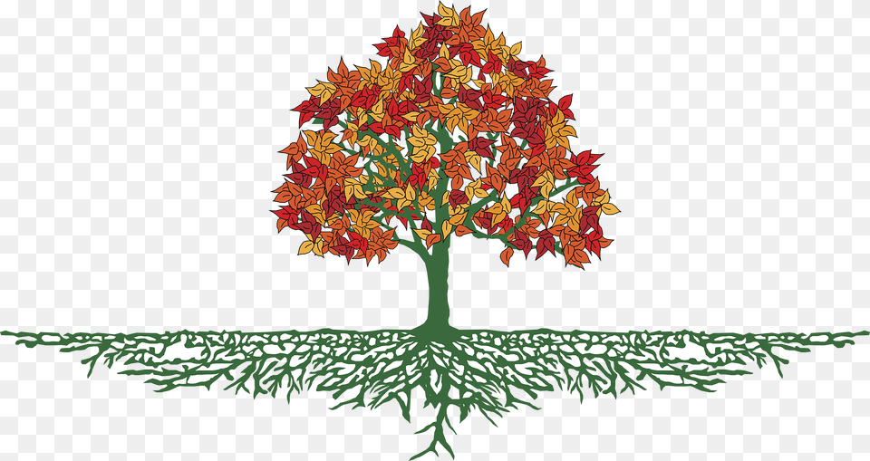 Autumn Tree With Roots By Deborah Drinon Haggerty Fall Tree With Roots, Leaf, Maple, Plant, Vegetation Png