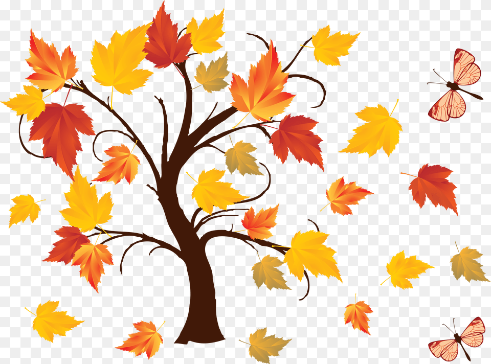 Autumn Trees Fall, Leaf, Plant, Tree, Maple Png Image