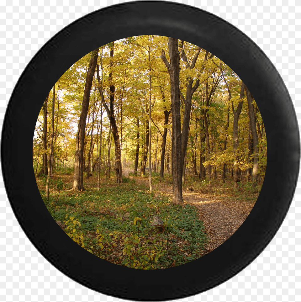 Autumn Trees Jeep Camper Spare Tire Cover 35 Inch Free Png