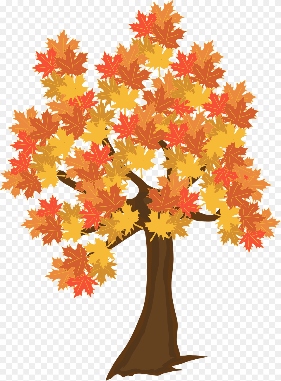 Autumn Trees Konfest, Leaf, Maple, Plant, Tree Free Transparent Png