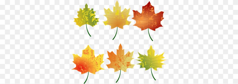 Autumn U0026 Fall Vectors Pixabay Leaves Clipart Autumn, Leaf, Plant, Maple Leaf, Tree Free Png