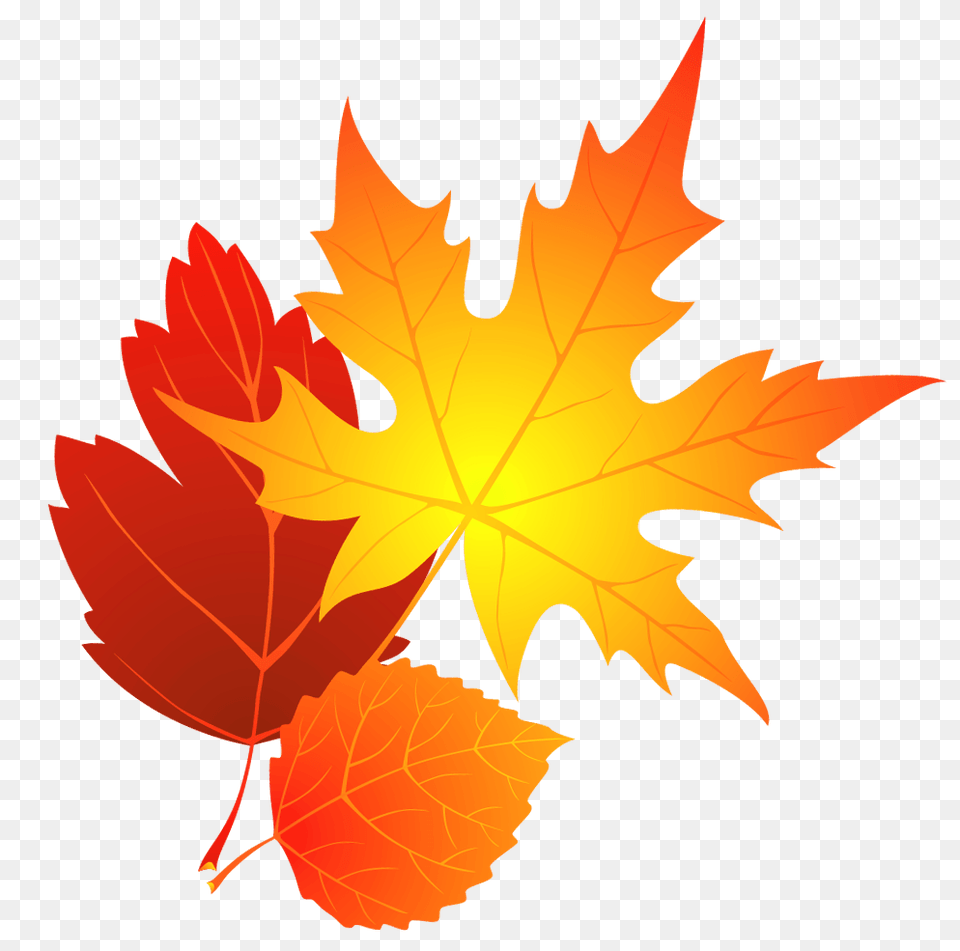 Autumn Window Cliparts, Leaf, Plant, Tree, Maple Leaf Free Png Download