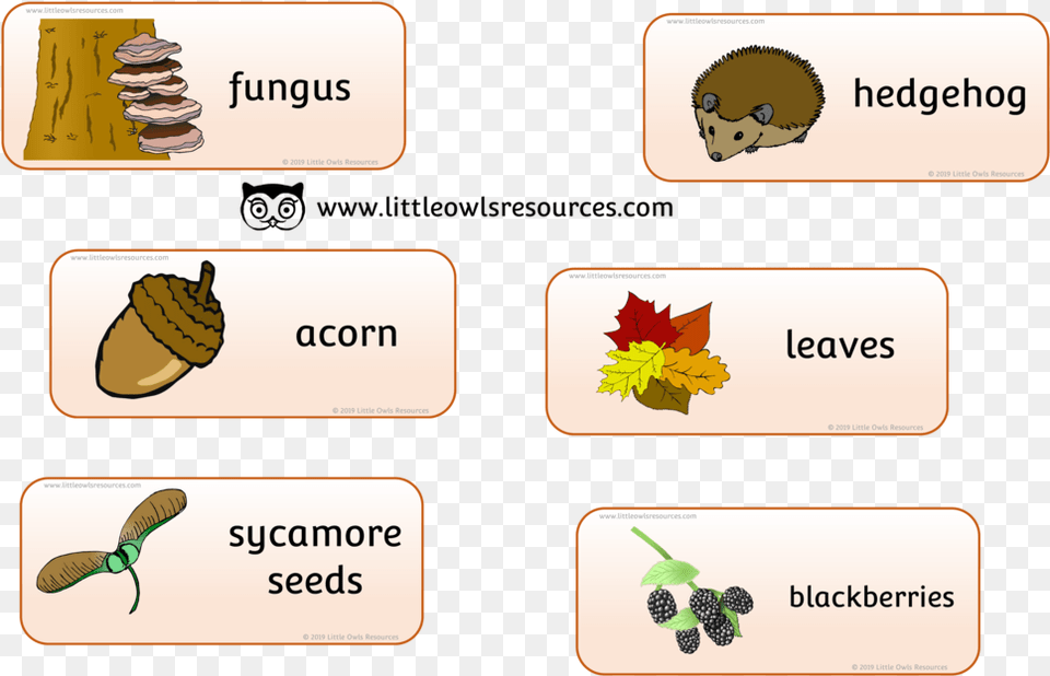 Autumn Word Cards Autumn Words, Plant, Leaf, Food, Produce Free Png Download