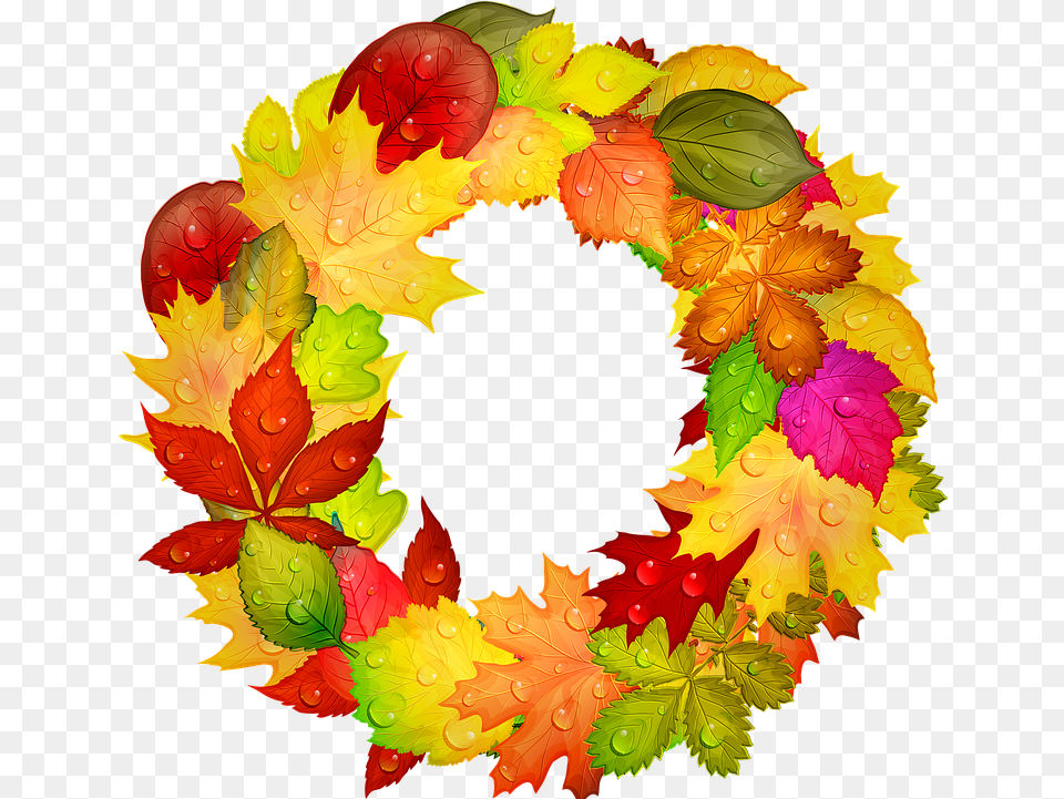 Autumn Wreath Leaves Image On Pixabay Imagine Frunze De Toamna, Leaf, Plant, Baby, Person Free Transparent Png