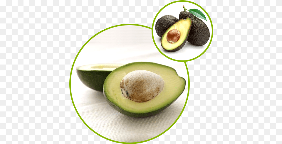 Avacado Soyabean Unsaponifiable Asu Can Cats Eat Avocado, Food, Fruit, Plant, Produce Png