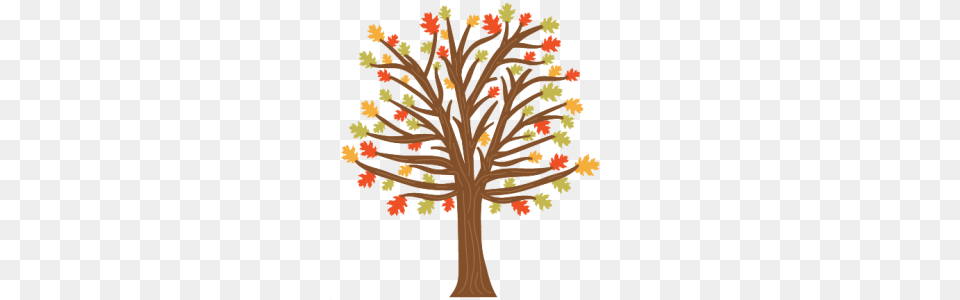 Available For Today Only, Oak, Plant, Tree, Leaf Free Transparent Png
