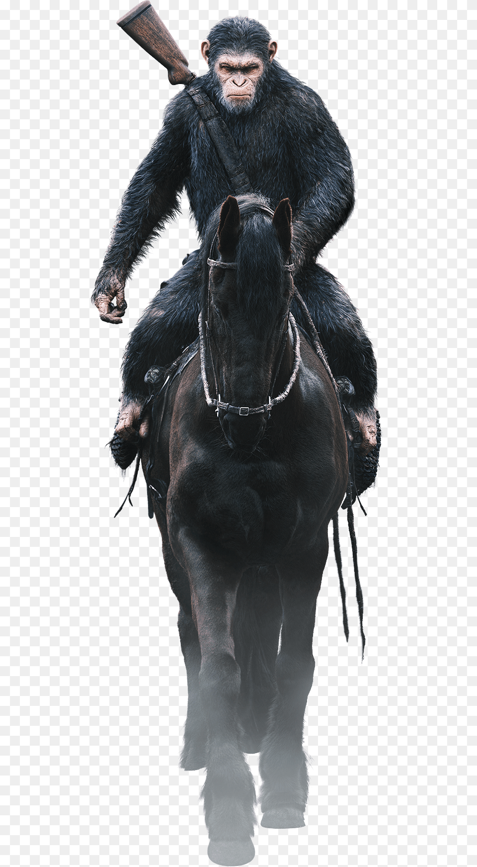 Available On A Variety Of Home Entertainment Formats Planet Of The Apes Riding Horses, Adult, Person, Man, Mammal Png Image