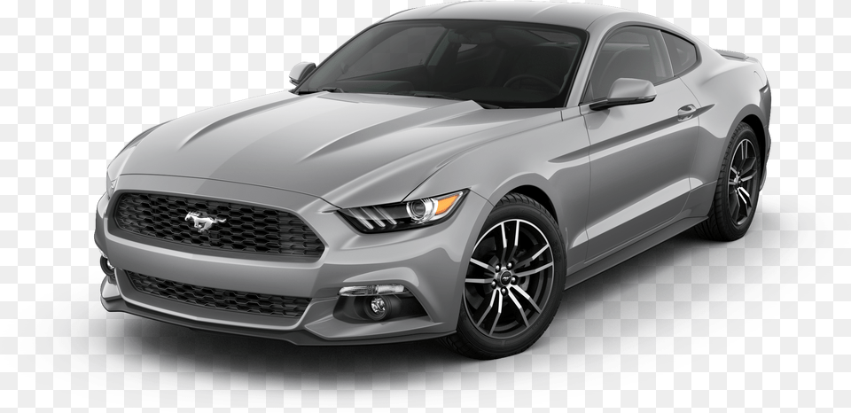 Avalanche Gray Ford Mustang Shelby, Car, Vehicle, Transportation, Sports Car Free Png