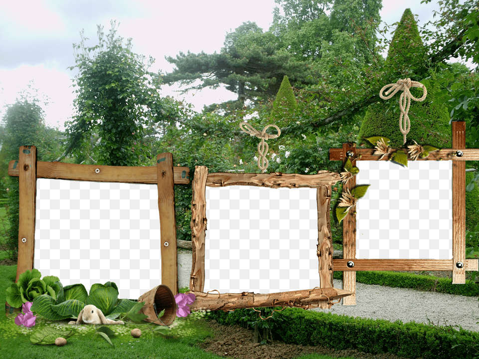 Avant Que Le Travail Au Jardin Recommence Et Entre Photography, Potted Plant, Plant, Backyard, Outdoors Png Image